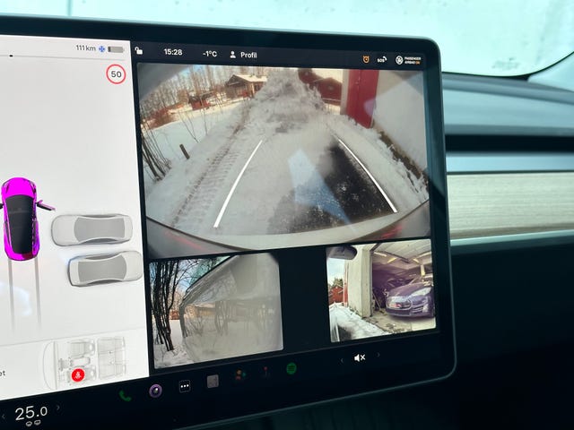 2021 TESLA MODEL 3 - 49
