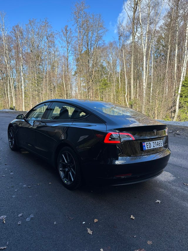 2021 TESLA MODEL 3 - 17
