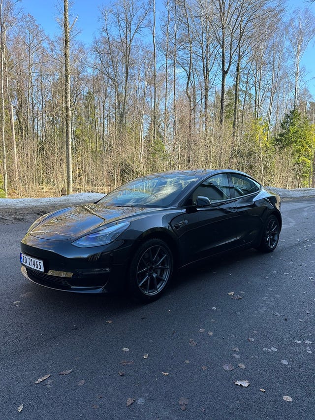 2021 TESLA MODEL 3 - 13