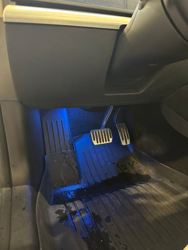 2019 TESLA MODEL 3 - 29