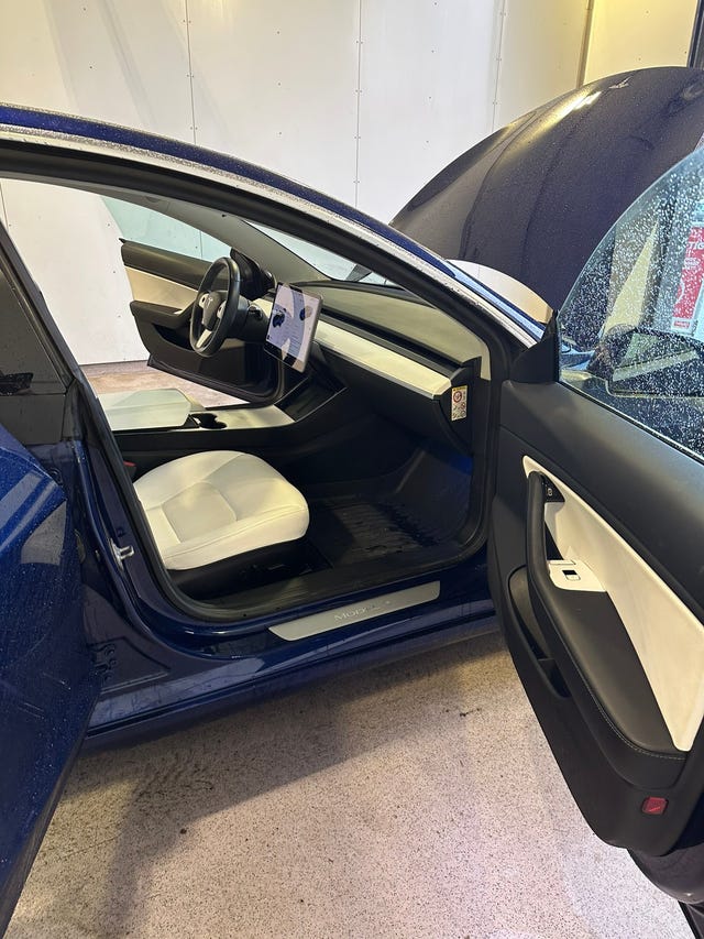 2019 TESLA MODEL 3 - 8