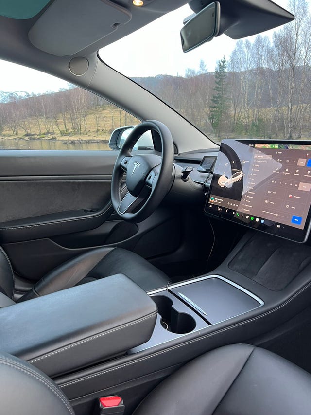 2021 TESLA MODEL 3 - 15