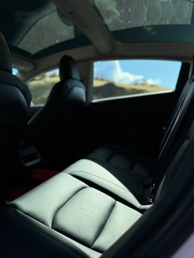 2021 TESLA MODEL 3 - 11