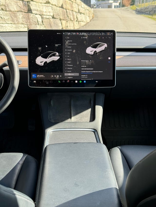 2021 TESLA MODEL 3 - 13