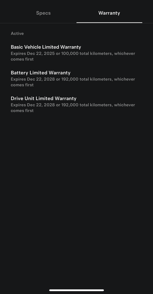 2021 TESLA MODEL 3 - 19