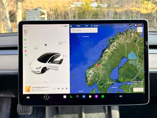 2021 TESLA MODEL 3 - 33