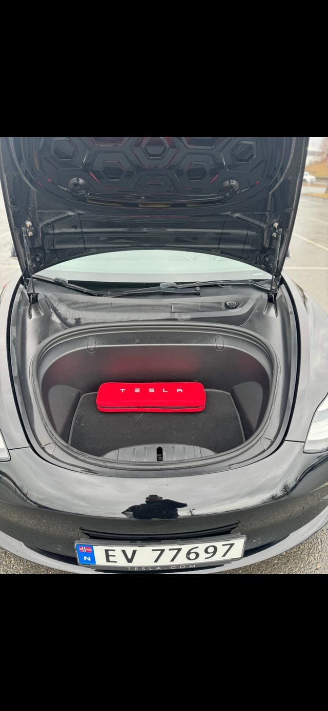 2019 TESLA MODEL 3 - 10