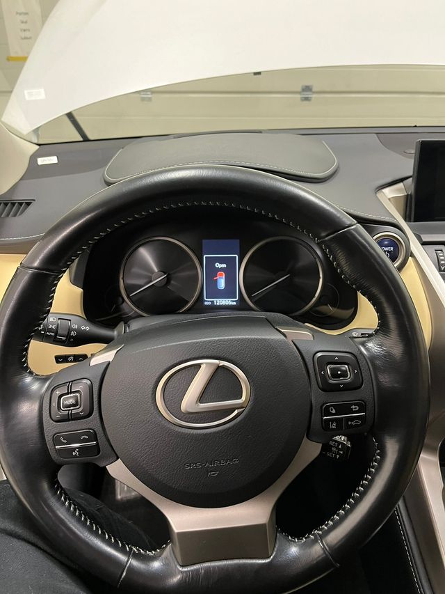 JTJBJRBZ802031083 2016 LEXUS NX 300H-4