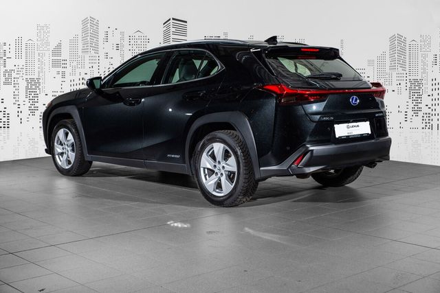 JTHU95BHX02037101 2020 LEXUS UX-4