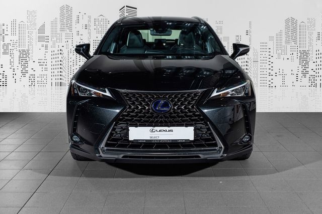 JTHU95BHX02037101 2020 LEXUS UX-1