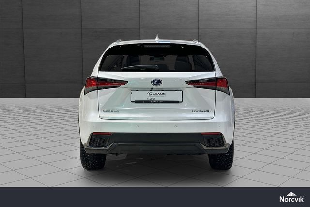 JTJBJRBZ002149743 2021 LEXUS NX 300H-4