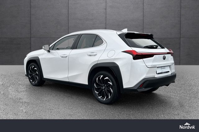 2019 LEXUS UX - 5