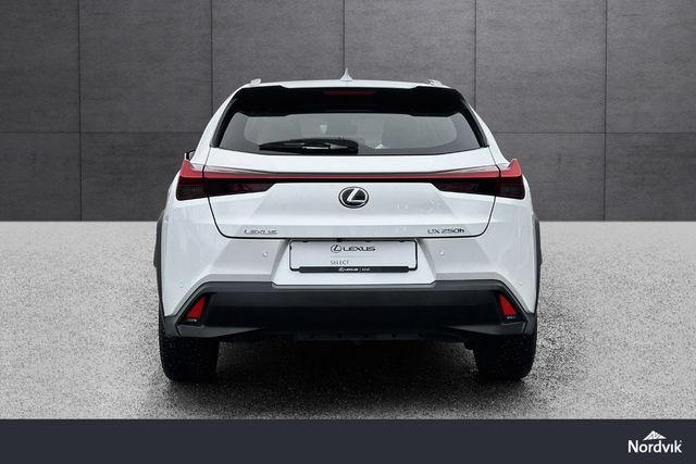 JTHY65BH202012008 2019 LEXUS UX-3