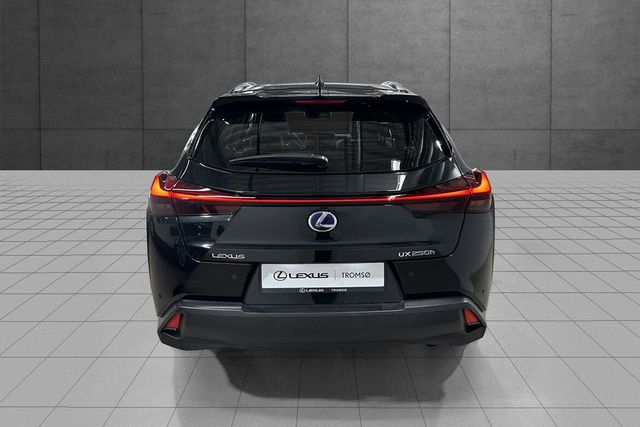 2020 LEXUS UX - 11