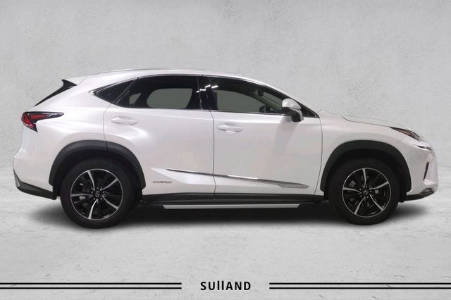 JTJBJRBZ002099233 2018 LEXUS NX 300H-5