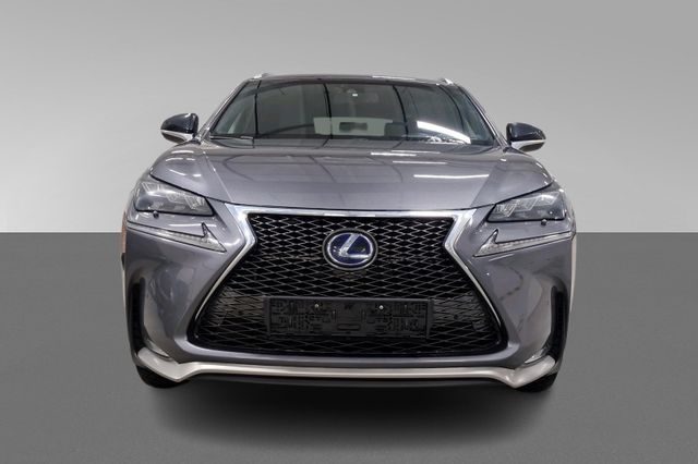 JTJBJRBZ502024009 2016 LEXUS NX 300H-4