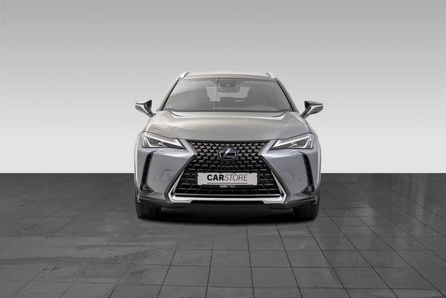 2019 LEXUS UX - 2