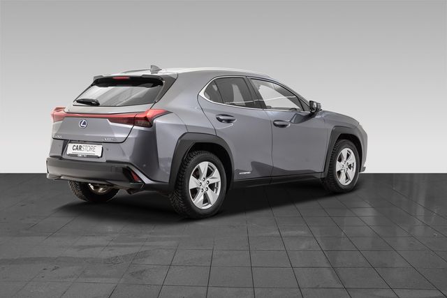 2019 LEXUS UX - 7