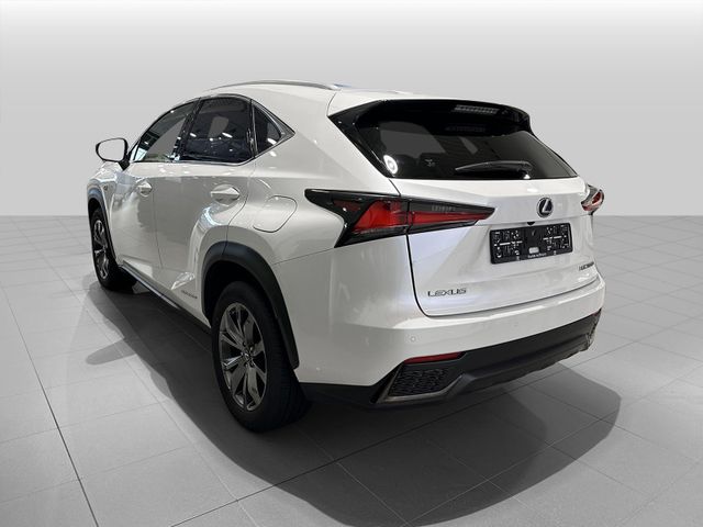 JTJBJRBZ205012236 2021 LEXUS NX 300H-4