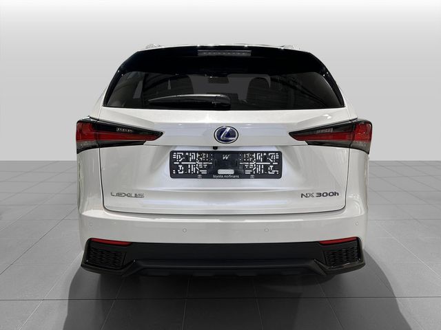 JTJBJRBZ205012236 2021 LEXUS NX 300H-3