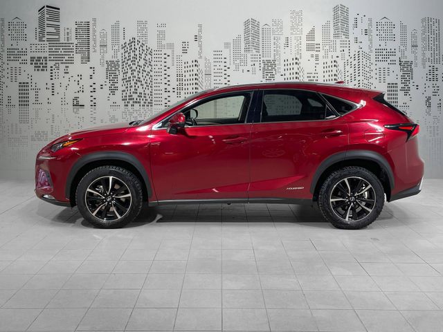 JTJBJRBZ802163177 2021 LEXUS NX 300H-1