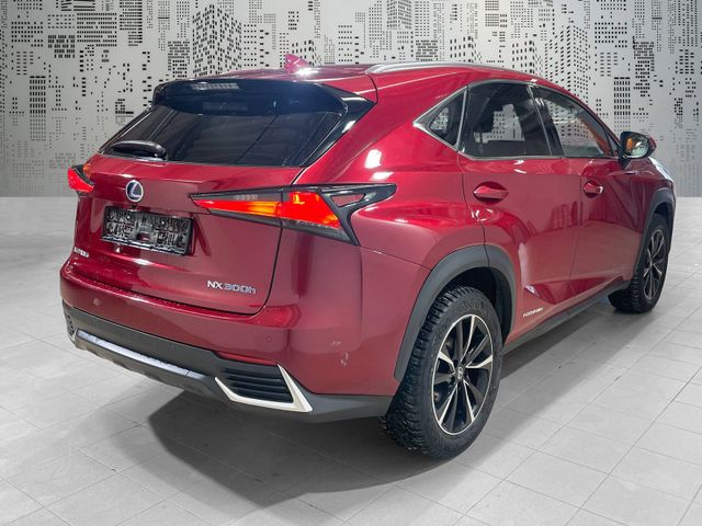 JTJBJRBZ802163177 2021 LEXUS NX 300H-4