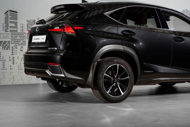 2018 LEXUS NX 300H - 8