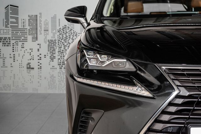 JTJBJRBZ502089250 2018 LEXUS NX 300H-3