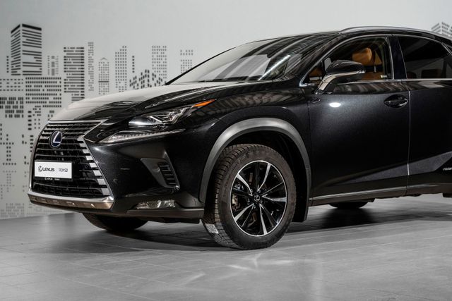 JTJBJRBZ502089250 2018 LEXUS NX 300H-1