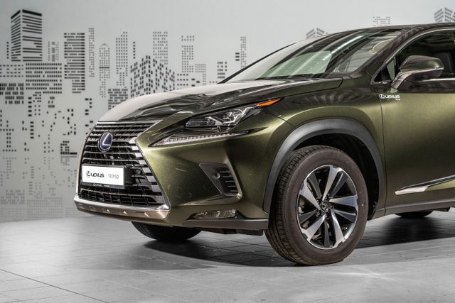 JTJBJRBZ502154209 2021 LEXUS NX 300H-1