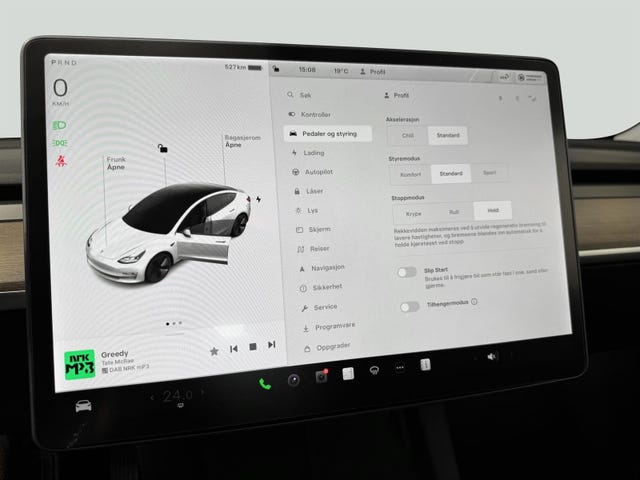 2021 TESLA MODEL 3 - 18