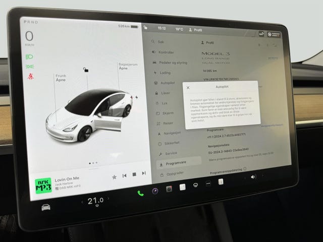 2021 TESLA MODEL 3 - 19