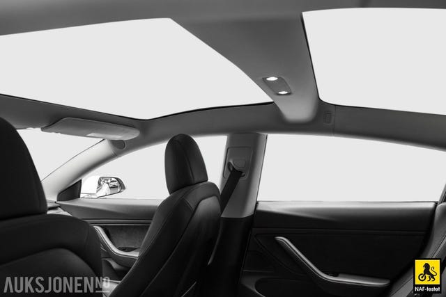2019 TESLA MODEL 3 - 10