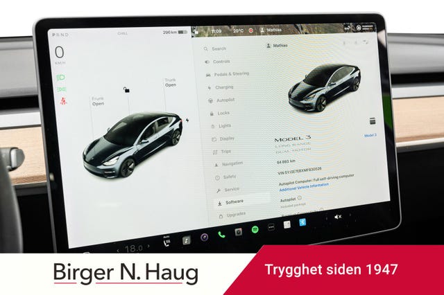 2021 TESLA MODEL 3 - 19