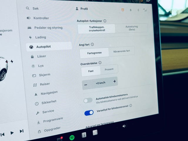 2021 TESLA MODEL 3 - 20