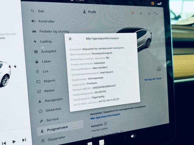 2021 TESLA MODEL 3 - 19