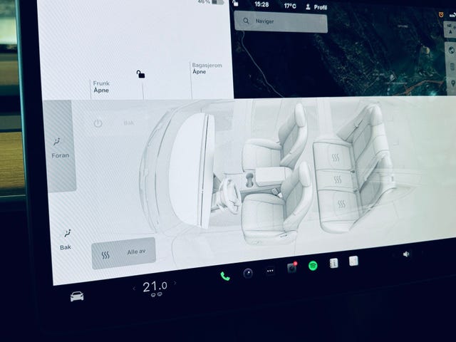2021 TESLA MODEL 3 - 16