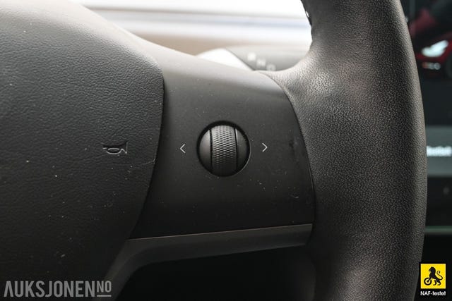 2019 TESLA MODEL 3 - 30
