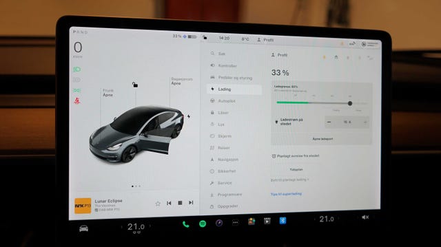 2019 TESLA MODEL 3 - 21