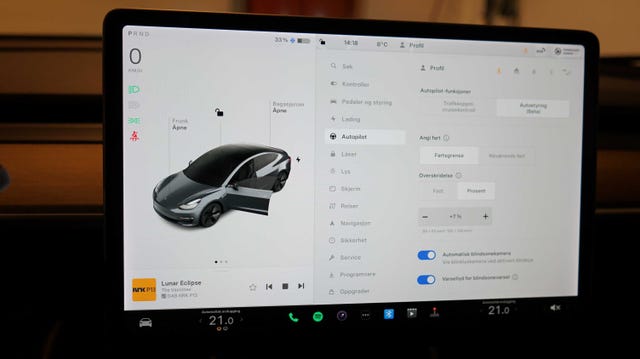 2019 TESLA MODEL 3 - 10