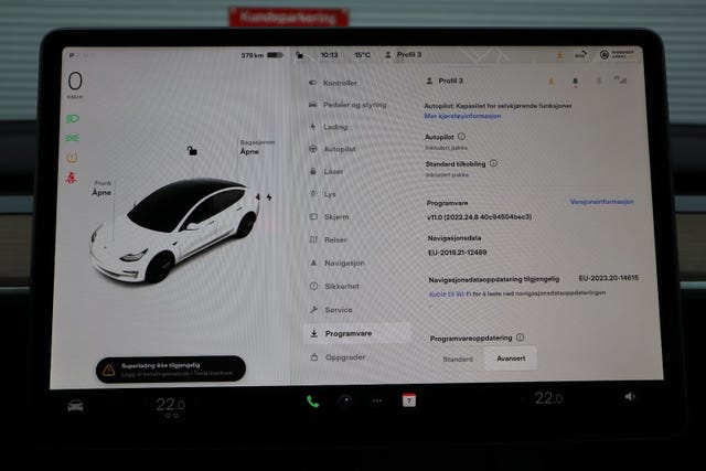 2021 TESLA MODEL 3 - 13