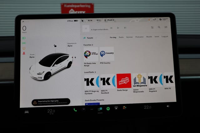2021 TESLA MODEL 3 - 19
