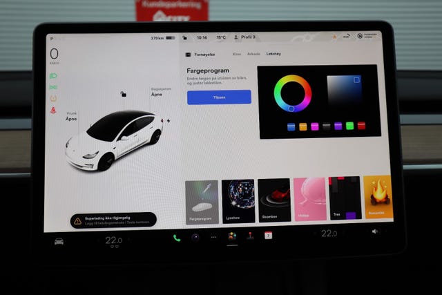 2021 TESLA MODEL 3 - 16
