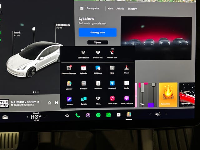 2021 TESLA MODEL 3 - 24