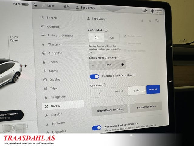 2021 TESLA MODEL 3 - 29