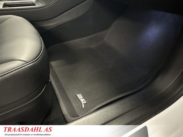 2021 TESLA MODEL 3 - 19