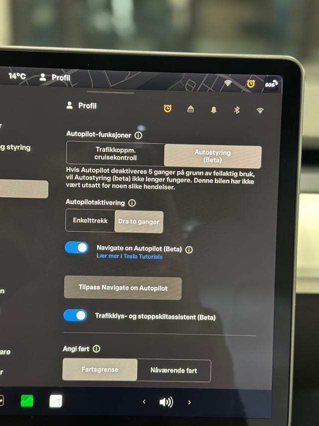 2019 TESLA MODEL 3 - 32