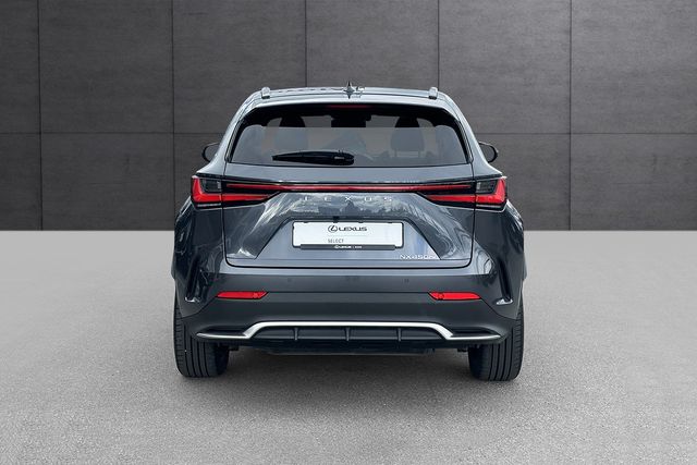 2022 LEXUS NX 450H - 5