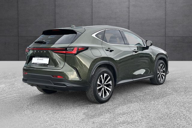 2022 LEXUS NX 450H - 6