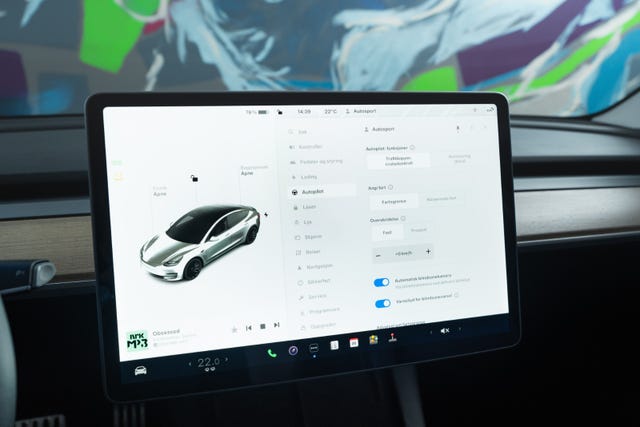 2021 TESLA MODEL 3 - 29